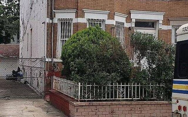 125 E 42nd St, Brooklyn, NY 11203 (Porch)
