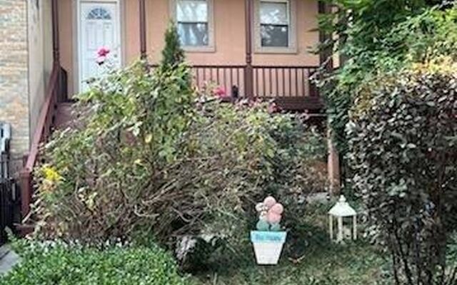 674 Madison St, Brooklyn, NY 11221 (Yard)