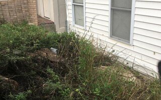 2803 Brown St, Brooklyn, NY 11235