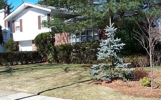 29 Village Dr, Jericho, NY 11753