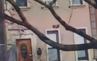 33 Essex St, Brooklyn, NY 11208