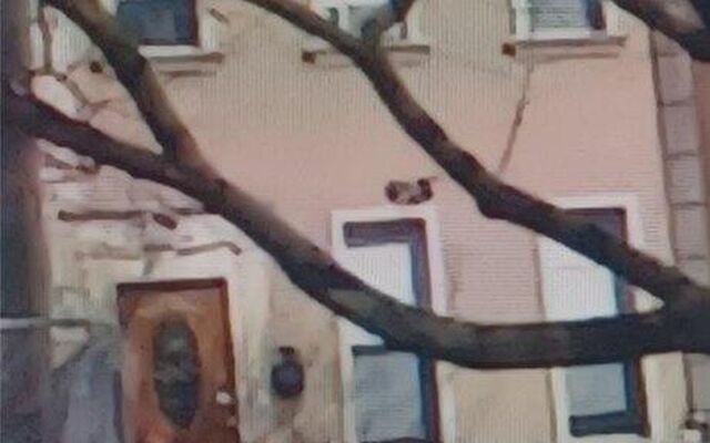 33 Essex St, Brooklyn, NY 11208 (Other Exterior)