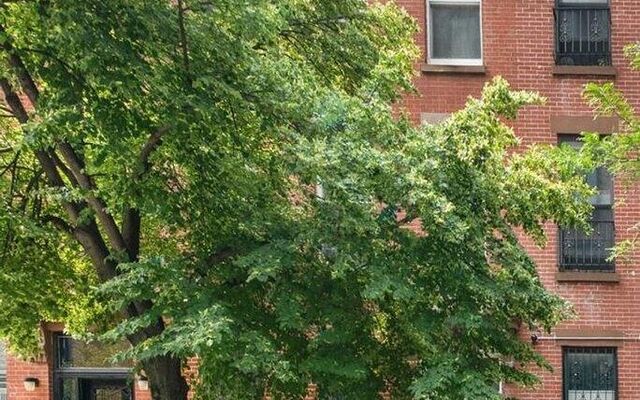 656 Dean St, Brooklyn, NY 11238 (Condo)