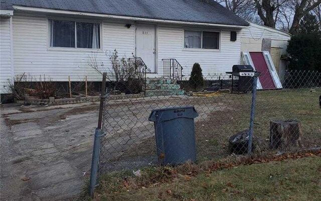 833 Doane Ave, Bellport, NY 11713 (Yard)